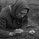 Sivyj Yar Grief video klibini yayınladı | Musiki Cemiyeti